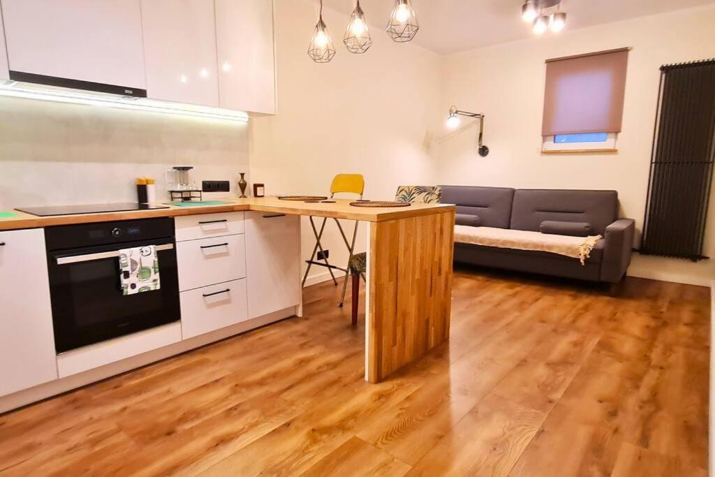 Modern 2 Bedroom Apartment/Kazimierz/Paulinska St. Krakow Exterior photo